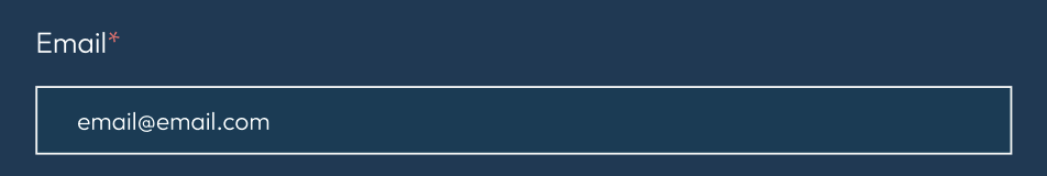 Email form field with visible label and placeholder text on a dark navy background.